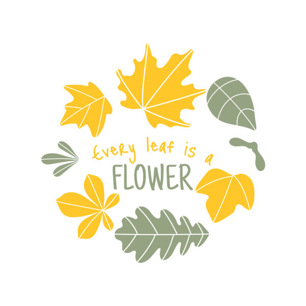 Fall Season 13 Thumbnail